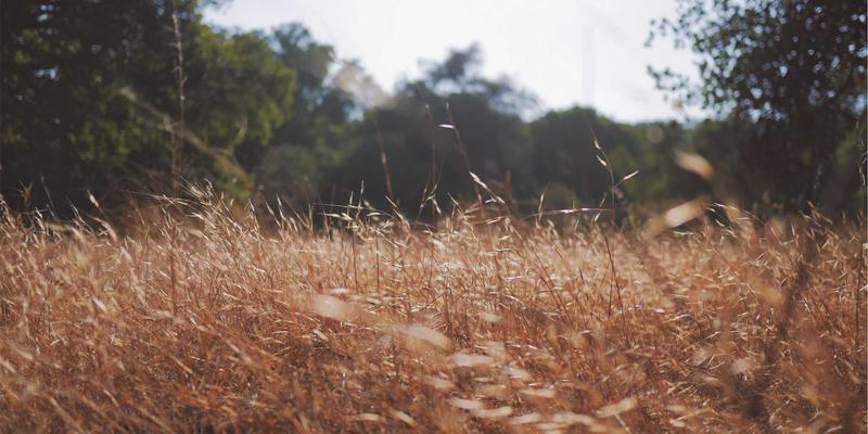 Free Game Maps 44:探索游戏模组、纹理与社区生态的宝藏入口