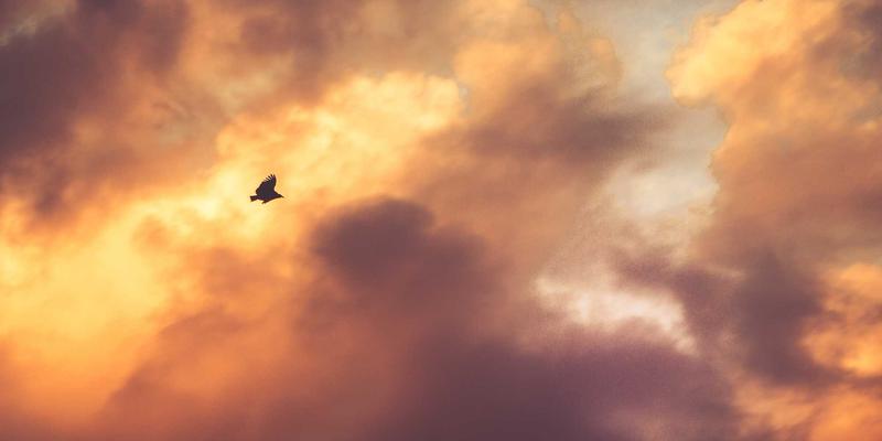 Free Game Maps 84：解锁游戏创作新维度，赋能玩家与开发者社区