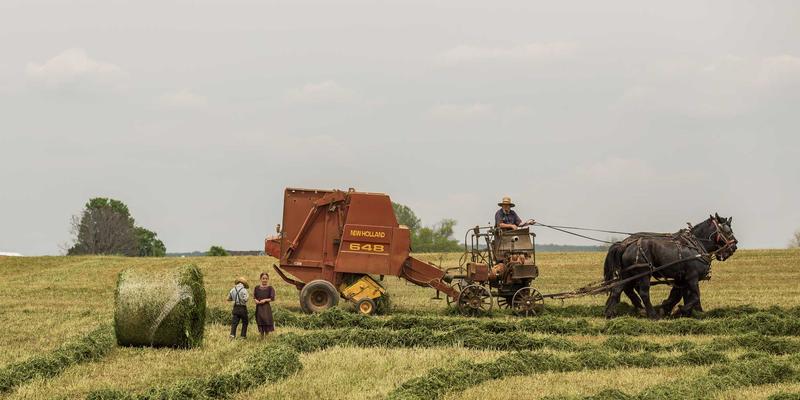 从资源下载到场景拼接：如何利用免费科幻游戏地图构建沉浸式赛博朋克世界