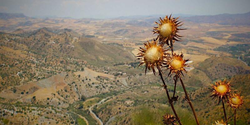 免费像素艺术游戏地图资源完全指南：为复古独立游戏与数字跑团下载顶级素材