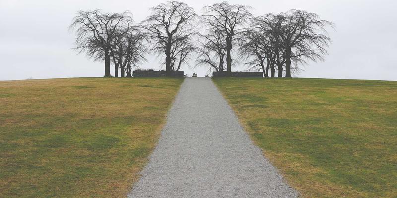 免费游戏地图攻略：如何利用游戏资产与社区动态提升你的游戏体验