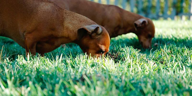 免费游戏地图资源全攻略:解锁Mods与纹理的无限创意世界