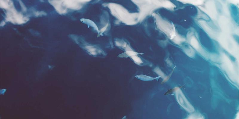 游戏社区热议：独立开发者如何安全使用免费游戏地图与关卡资源？最新游戏新闻与最佳实践指南